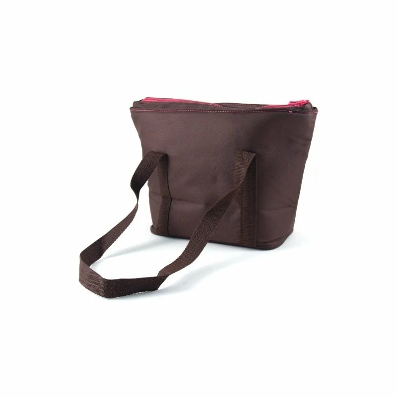 Cheapest ✨ Thermos Raya IsoTec Brown And Pink Insulated Lunch Tote 👍 2 Cheapest ✨ Thermos Raya IsoTec Brown And Pink Insulated Lunch Tote 👍 - Image 2